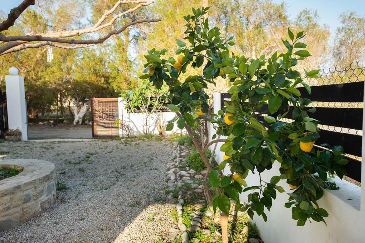 Afrathias Beachhouse - Cretan Hideaway Kalamaki  Bagian luar foto